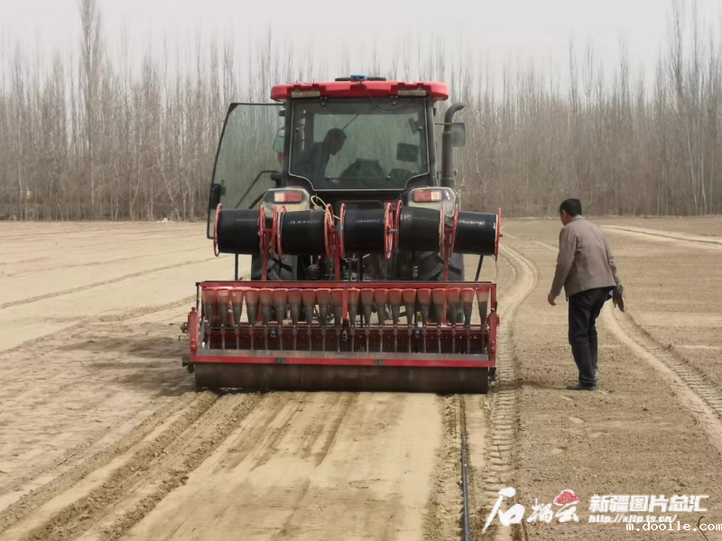 新疆新增100万吨粮食如何实现 新疆新增100万吨粮食如何实现